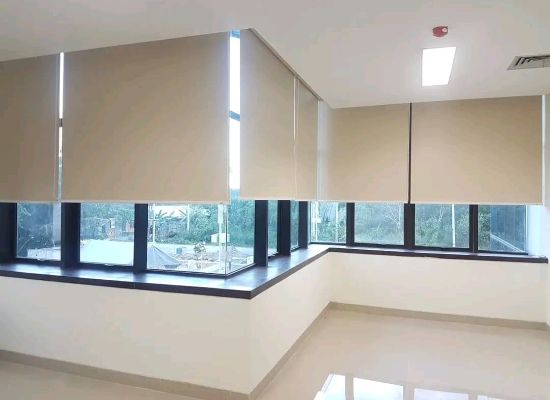 Roller Blind Blackout Sharp Point